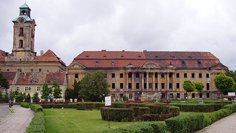 Żary