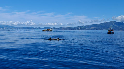 Vila Franca do Campo, São Miguel Island, Azores